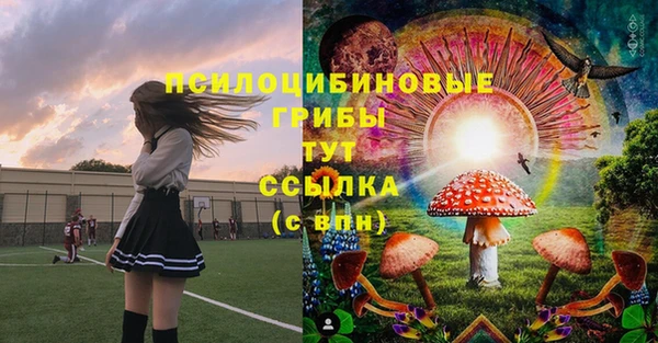 2c-b Алексин