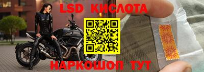 a pvp Краснокаменск