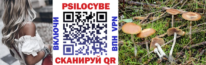 Галлюциногенные грибы мухоморы Дубна