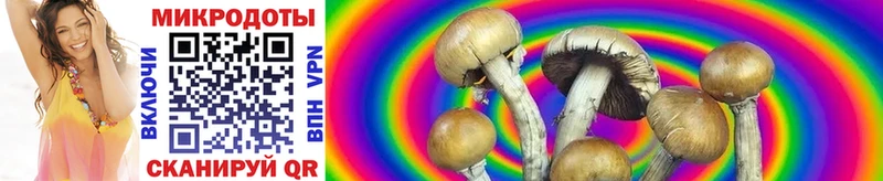 Галлюциногенные грибы мухоморы Дубна