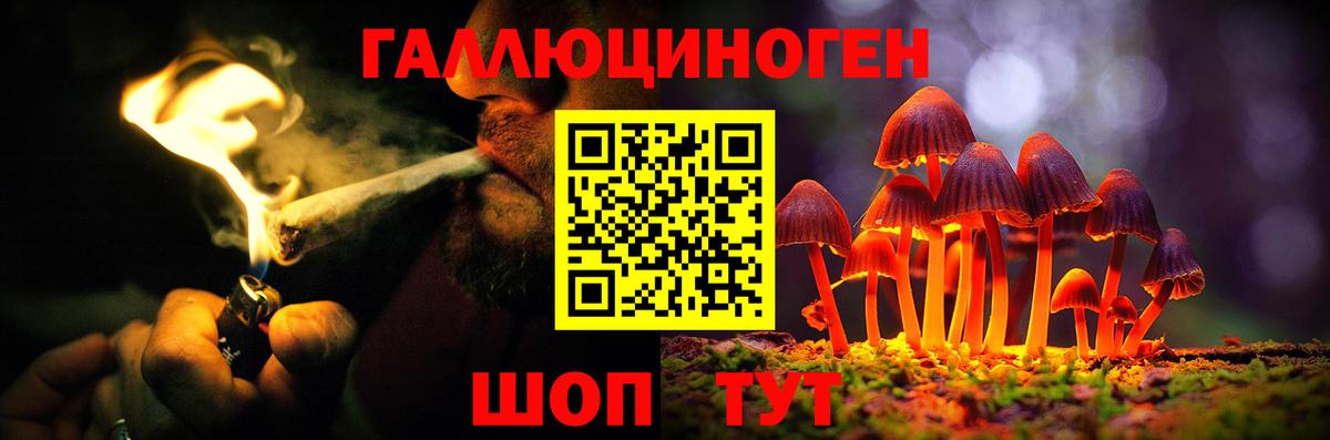 Галлюциногенные грибы прущие грибы Дубна